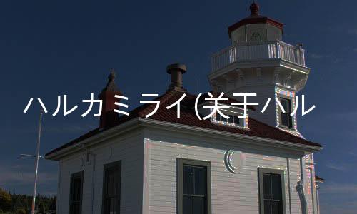 ハルカミライ(關(guān)于ハルカミライ簡(jiǎn)述)