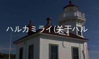 ハルカミライ(關(guān)于ハルカミライ簡述)