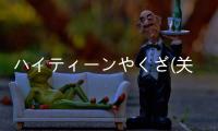 ハイティーンやくざ(關(guān)于ハイティーンやくざ簡述)