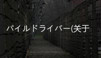 パイルドライバー(關于パイルドライバー簡述)