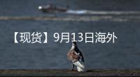【現貨】9月13日海外各地區合成橡膠現貨市場價格匯總