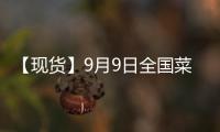 【現貨】9月9日全國菜粕現貨價格匯總