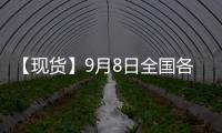 【現貨】9月8日全國各地區白糖現貨價格匯總