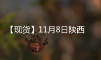 【現貨】11月8日陜西洛川紅富士(紙袋80#)蘋果現貨價格持平