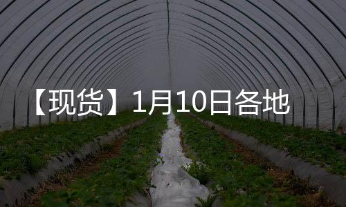 【現貨】1月10日各地區PVC現貨價格匯總