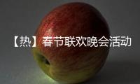 【熱】春節(jié)聯(lián)歡晚會(huì)活動(dòng)策劃方案8篇