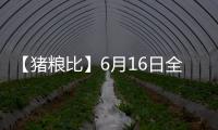 【豬糧比】6月16日全國各地區(qū)豬糧比匯總