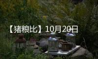 【豬糧比】10月20日全國各地區(qū)豬糧比匯總