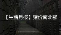 【生豬月報】豬價南北強弱轉換期現市場轉結構