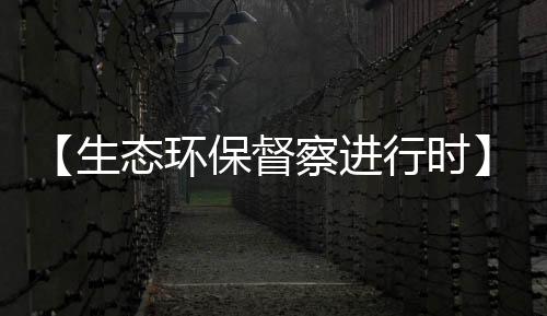 【生態環保督察進行時】同飲一江“幸福水”