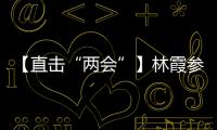 【直擊“兩會(huì)”】林霞參加大門代表團(tuán)分組討論
