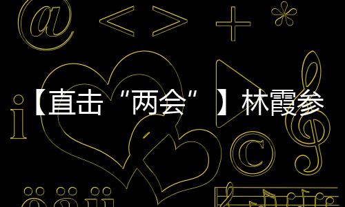 【直擊“兩會”】林霞參加大門代表團分組討論