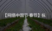 【網絡中國節·春節】樅陽：寫春聯 進工地