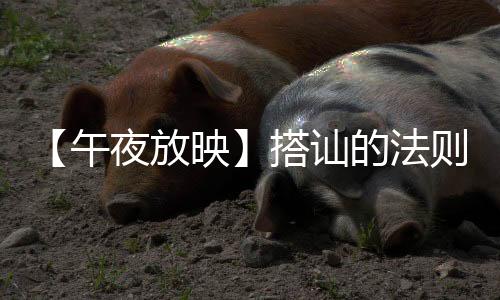 【午夜放映】搭訕的法則: 孫藝珍變情場高手【娛樂新聞】風尚中國網