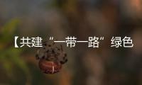 【共建“一帶一路”綠色成果】阿根廷·胡胡伊省高查瑞光伏項(xiàng)目