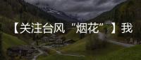 【關(guān)注臺風(fēng)“煙花”】我區(qū)召開防御第6號臺風(fēng)“煙花”會(huì)商研判會(huì)