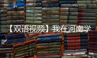 【雙語視頻】我在河南學非遺⑦丨國潮“手辦” 千人一“面”