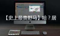 【史上最貴野馬】哈？居然要花374萬美金買一輛Fordmustang？