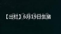 【出欄】6月19日生豬出欄價較上一日減少0.06元/斤