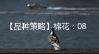 【品種策略】棉花：08月15日多家期貨公司晨報(bào)觀點(diǎn)匯總