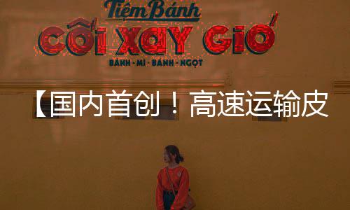 【國內(nèi)首創(chuàng)！高速運輸皮帶復(fù)雜物料智能分揀機器人在彝良成功研發(fā)應(yīng)用】