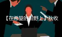【在希望的田野上】秋收接近尾聲 秋冬種全面展開