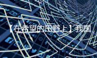 【在希望的田野上】我國夏糧產量創歷史新高