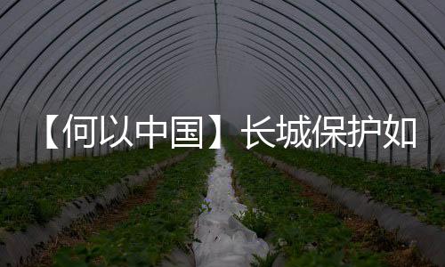 【何以中國(guó)】長(zhǎng)城保護(hù)如何變得有溫度？