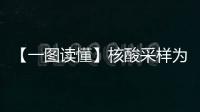 【一圖讀懂】核酸采樣為什么分單管和混管