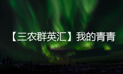 【三農群英匯】我的青青菜園