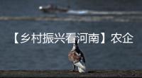 【鄉(xiāng)村振興看河南】農(nóng)企共贏 探索產(chǎn)業(yè)助農(nóng)“濮陽模式”