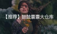 【推薦】鼓鼓囊囊大倉庫(關于【推薦】鼓鼓囊囊大倉庫簡述)