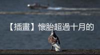 【插畫(huà)】懷胎超過(guò)十月的動(dòng)物有哪些？