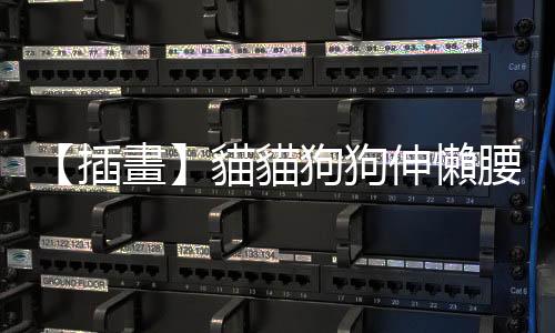 【插畫】貓貓狗狗伸懶腰，背後含義大不同