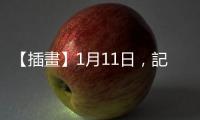【插畫】1月11日，記得播種！