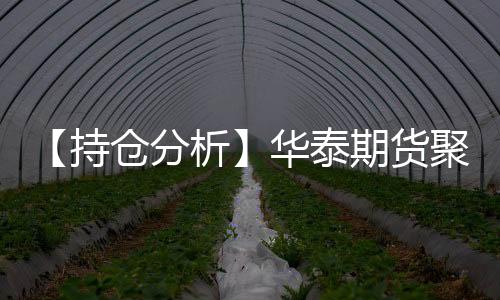 【持倉分析】華泰期貨聚丙烯凈多頭持倉連續第3日增加！