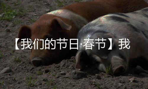 【我們的節日·春節】我市舉辦“我們的節日·春節”主題活動_