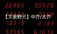 【文豪野犬】中芥/太芥