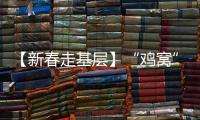 【新春走基層】“雞窩”能有多智能？