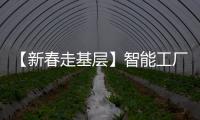 【新春走基層】智能工廠增產忙