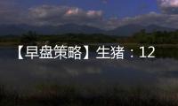 【早盤策略】生豬：12月26日多家期貨公司晨報觀點匯總