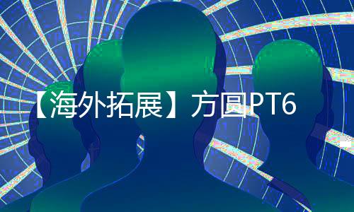 【海外拓展】方圓PT6565型塔機出口海外開啟新篇章