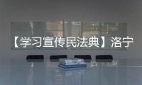 【學習宣傳民法典】洛寧縣法學會開設《民法典亮點》系列專題講座
