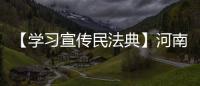 【學(xué)習(xí)宣傳民法典】河南省“百名法學(xué)家百場報告會”洛陽市專場開講