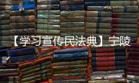 【學(xué)習(xí)宣傳民法典】寧陵縣青年普法志愿者開展民法典宣傳活動