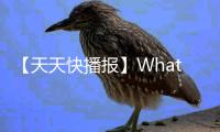 【天天快播報】WhatsApp宣布刪除信息時間從1小時延長至2天時間