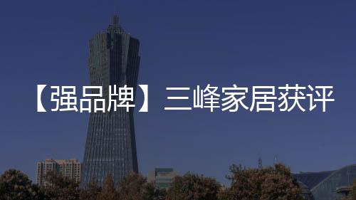 【強(qiáng)品牌】三峰家居獲評“2021定制家居影響力品牌”
