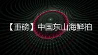 【重磅】中國東山海鮮拍賣app現已正式上線！