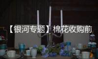 【銀河專題】棉花收購前市場預期及應對