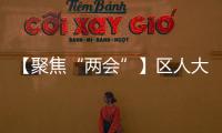 【聚焦“兩會(huì)”】區(qū)人大常委會(huì)新當(dāng)選同志舉行集體憲法宣誓儀式